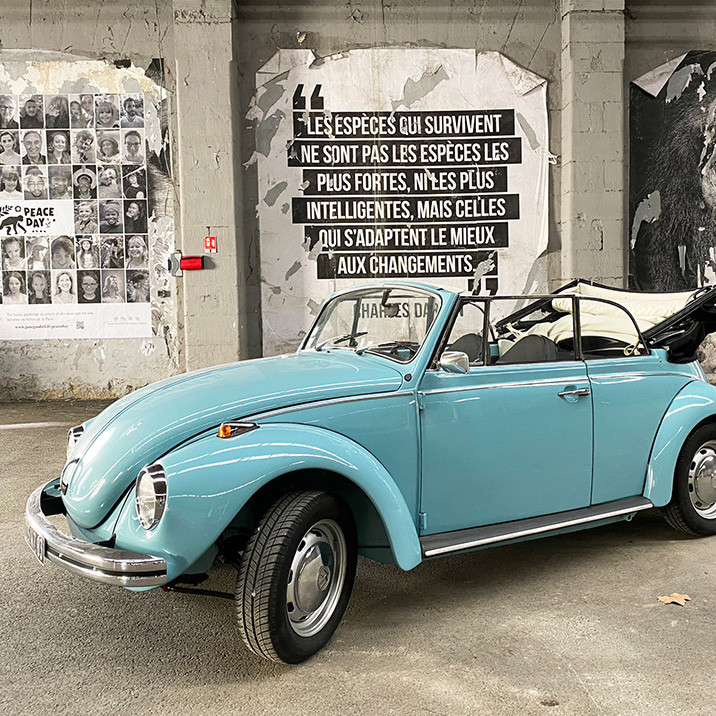 Volkswagen Beetle